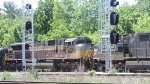 CP 7019